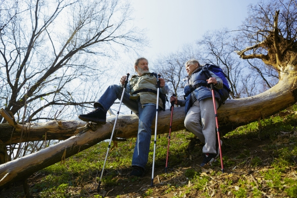 Using Hiking Poles for Support