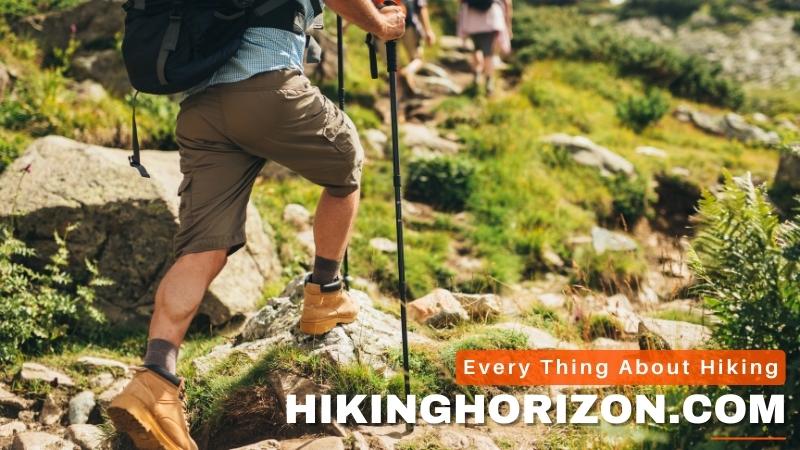 Does Hiking Reduce Cholesterol Levels-How-Hikinghorizon.com