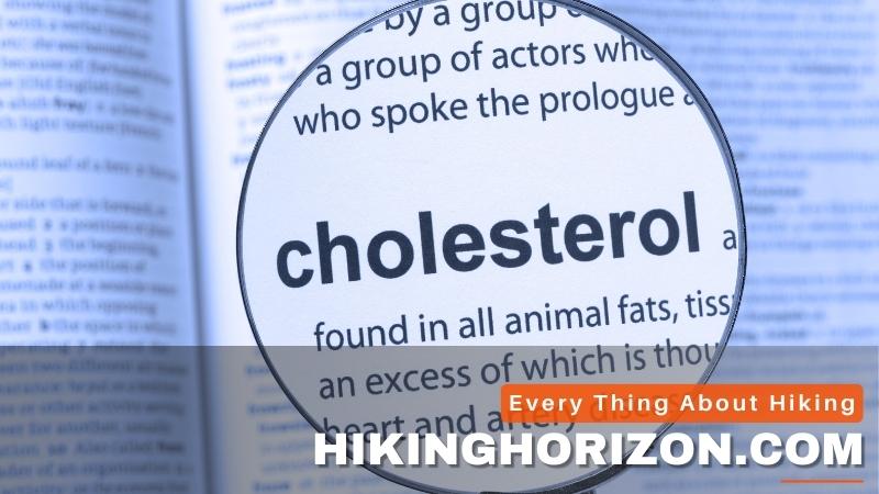 Everything about Cholesterol-Hikinghorizon.com