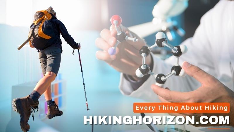 The Science Behind Hiking and Belly Fat Reduction -Hikinghorizon.com