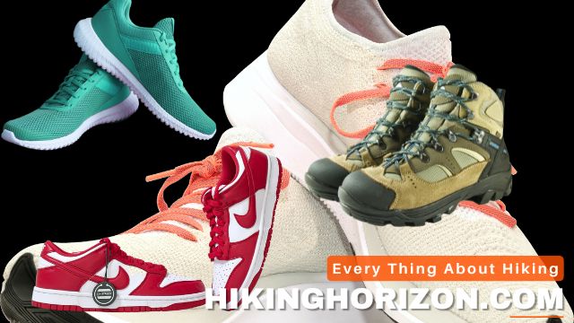 Comparison of hiking shoes to Other Gym Footwear - Hikinghorizon.com