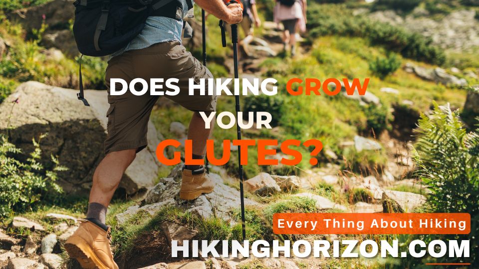 Does Hiking Build Glutes - Hikinghorizon.com