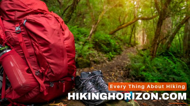 Backpack Storage for Summer - THE ULTIMATE GUIDE TO BACKPACK STORAGE