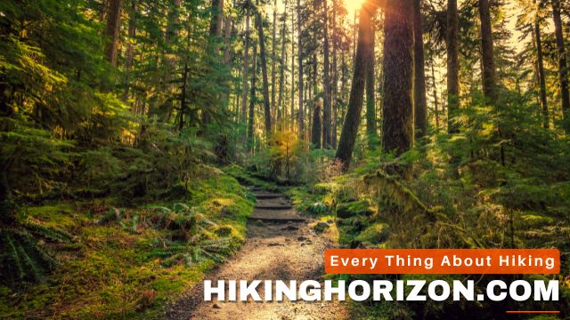 Places that Allow Guns on Hiking Trails - Should You Carry A Gun While Hiking