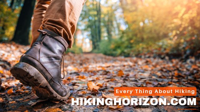 The Role of Ankle Support in Hiking Boots - How Much Ankle Support Do You Need in a Hiking Boot