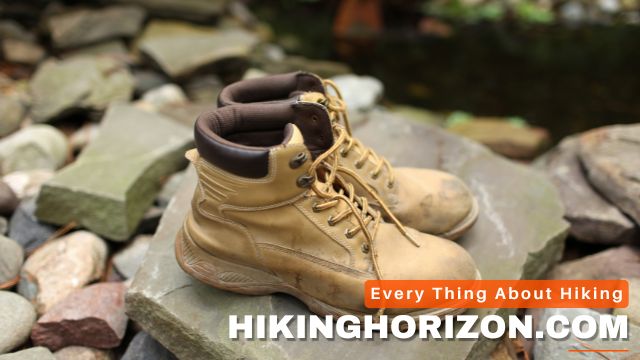 The Role of Ankle Support in Hiking - How Much Ankle Support Do You Need in a Hiking Boot