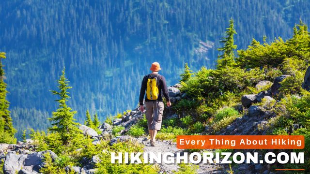 Why Safety Should Be Your Top Hiking Priority - how to hike safely