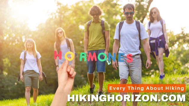 Hiking as a Holistic Approach to Hormonal Health - Does Hiking Increase Testosterone