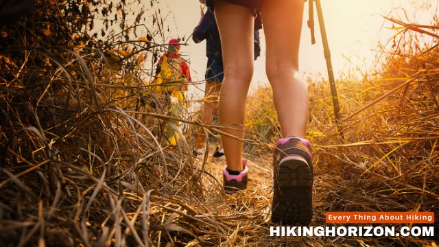 Staying Safe During the heat wave Hike - How Do Heat Waves Impact Hiking