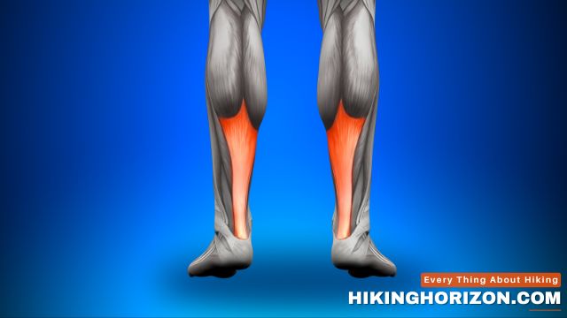 Symptoms and Signs - Can You Hike with Achilles Tendonitis