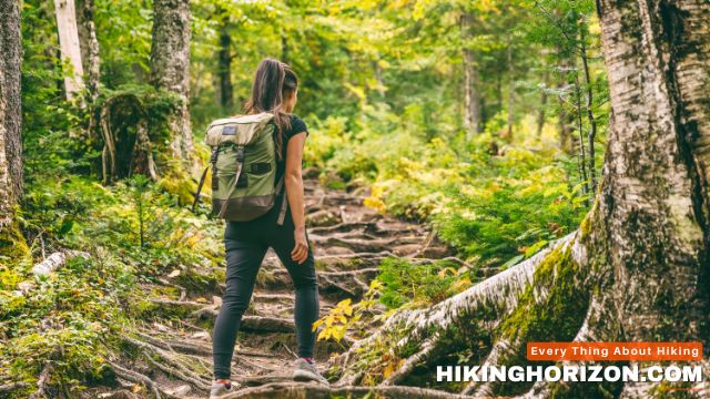 Uphill vs. Downhill Hiking - Does Hiking Work Your Core