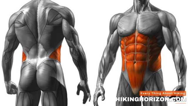 What is the Core - Does Hiking Work Your Core