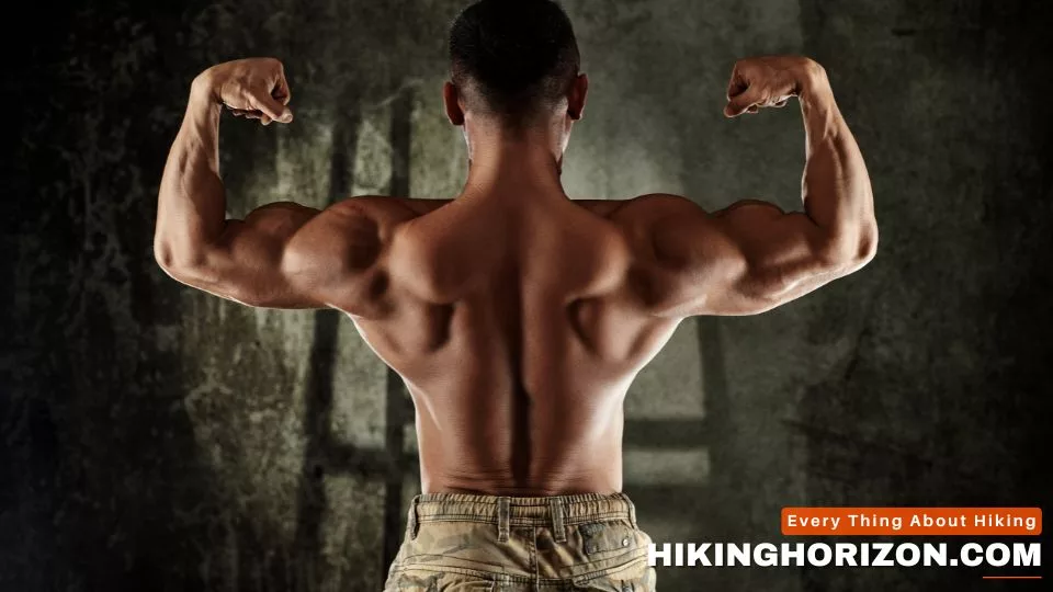The Muscular Differences ─ Cycling vs hiking - Hiking Muscles vs Cycling Muscles