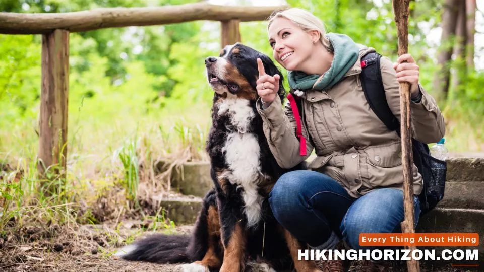Best Dog Breeds for Hiking