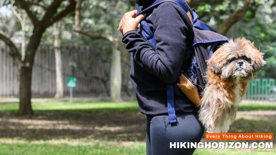 Choosing the Best Dog Backpack Carrier - HIKING WITH DOG IN BACKPACK