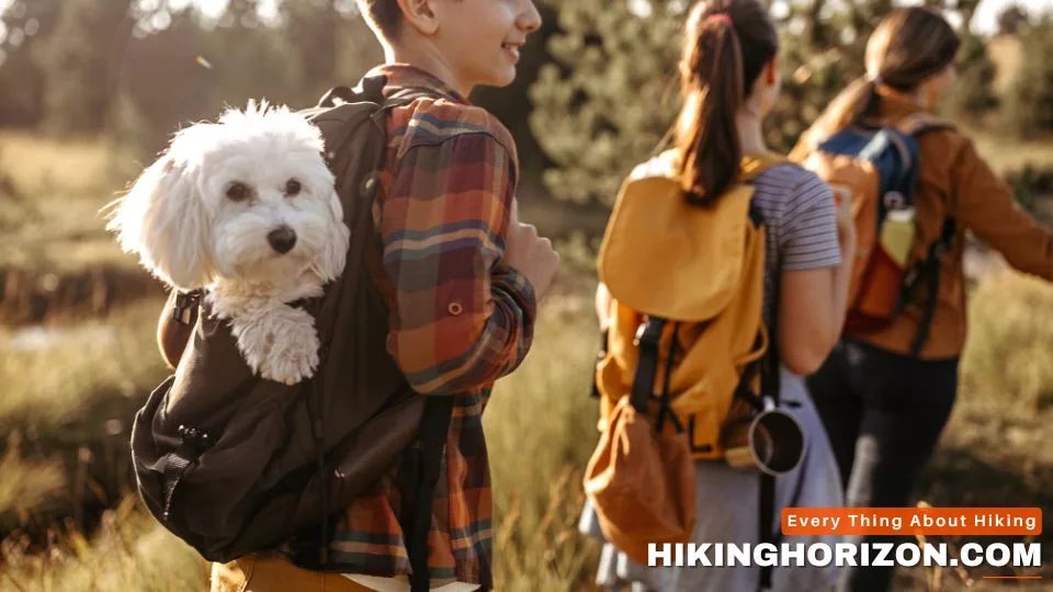 Factors to Consider - HIKING WITH DOG IN BACKPACK