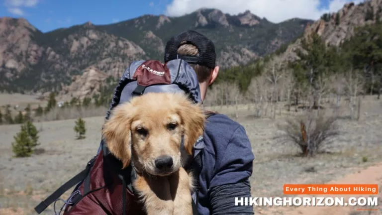 HIKING WITH DOG IN BACKPACK