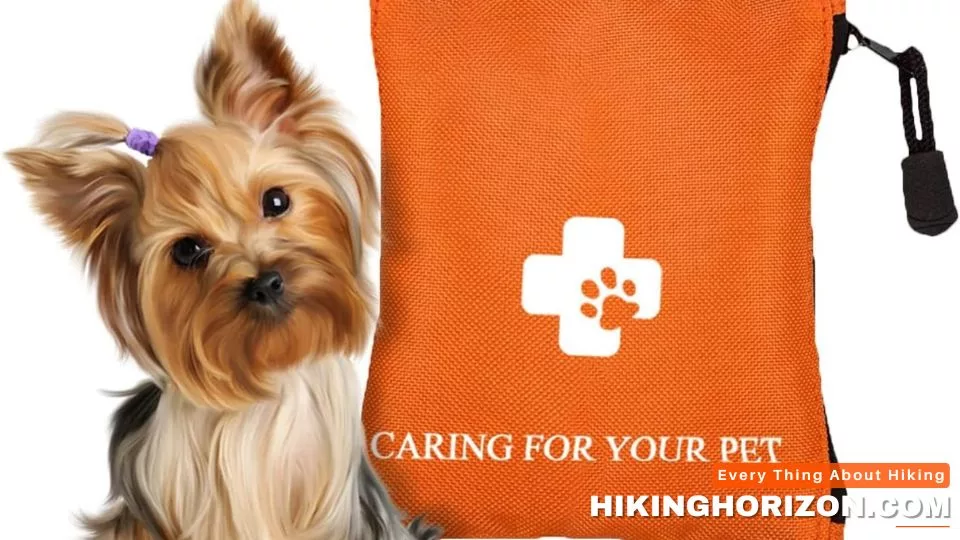 Packing Essentials for Your Dog - HIKING WITH DOG IN BACKPACK